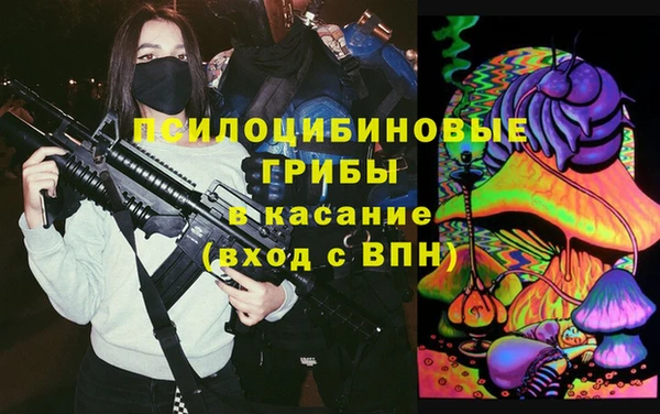 дмт Алексин